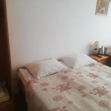 антон петров 招待所