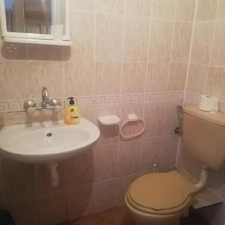 антон петров 招待所