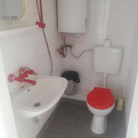 招待所 антон петров 内塞伯尔