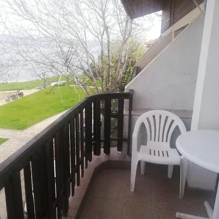 антон петров 招待所 内塞伯尔