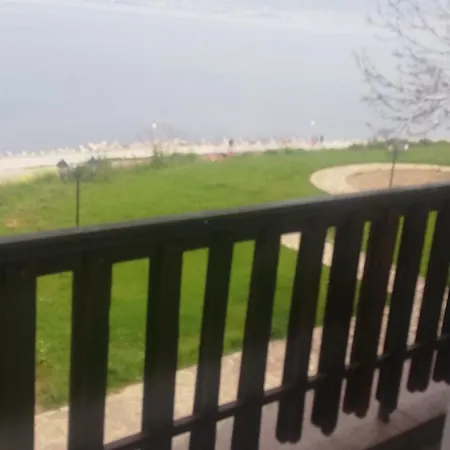 антон петров 招待所 内塞伯尔