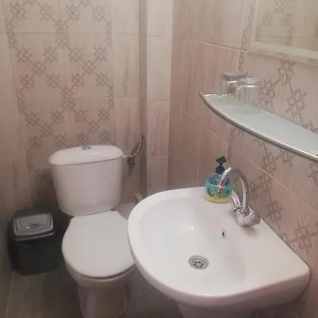 招待所 антон петров 内塞伯尔