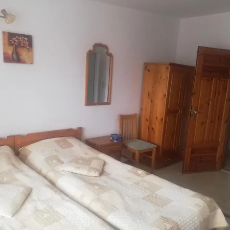 招待所 антон петров 内塞伯尔