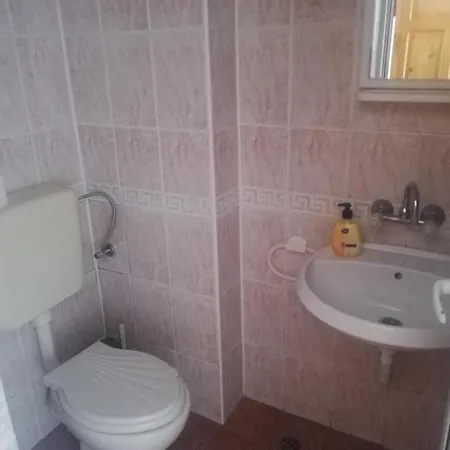 антон петров 内塞伯尔