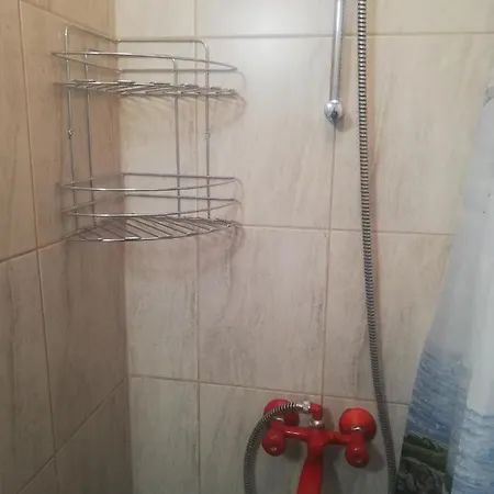 антон петров