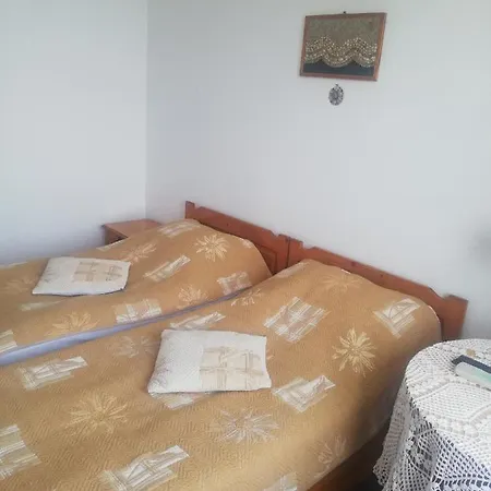 антон петров 3*