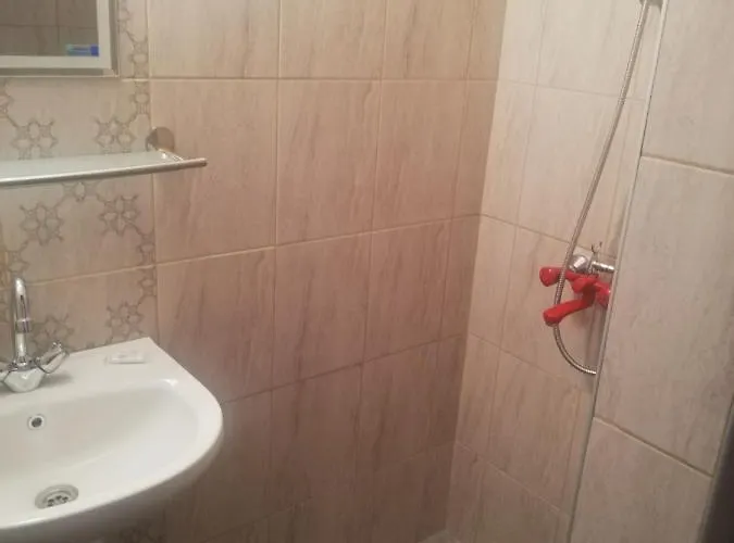 антон петров