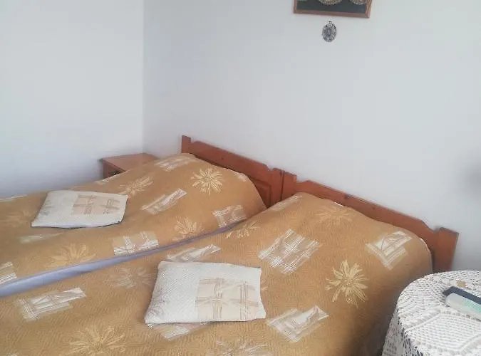 антон петров *